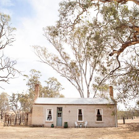 Ravenswood Homestead Εξωτερικό φωτογραφία